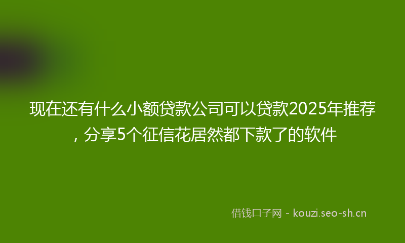 现在还有什么小额贷款公司可以贷款2025年推荐，分享5个征信花居然都下款了的软件