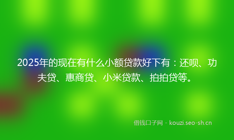 2025年的现在有什么小额贷款好下有：还呗、功夫贷、惠商贷、小米贷款、拍拍贷等。