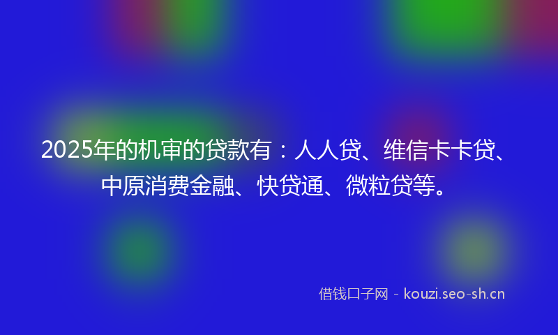 2025年的机审的贷款有：人人贷、维信卡卡贷、中原消费金融、快贷通、微粒贷等。