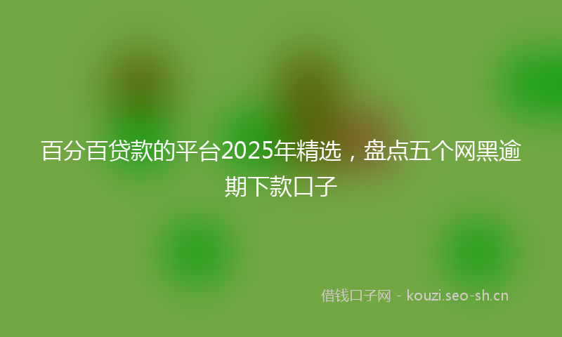 百分百贷款的平台2025年精选，盘点五个网黑逾期下款口子