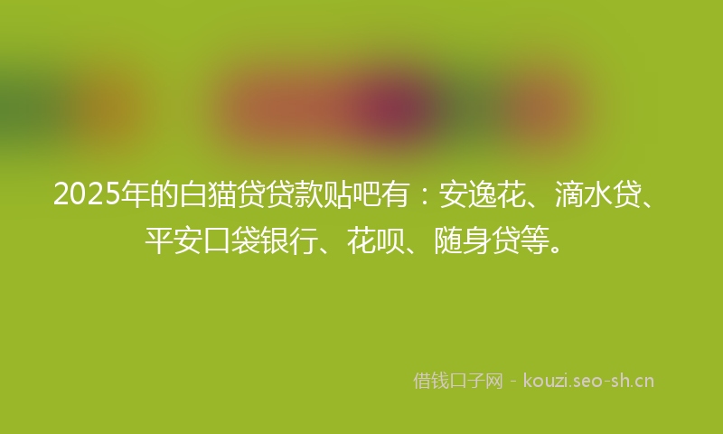 2025年的白猫贷贷款贴吧有：安逸花、滴水贷、平安口袋银行、花呗、随身贷等。