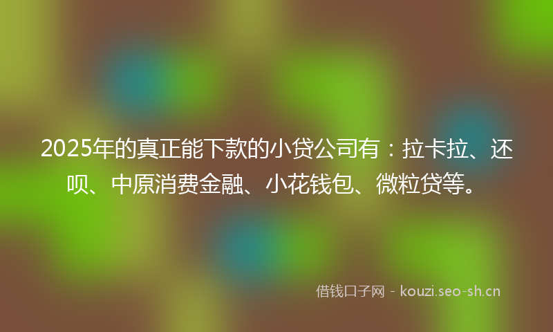2025年的真正能下款的小贷公司有：拉卡拉、还呗、中原消费金融、小花钱包、微粒贷等。