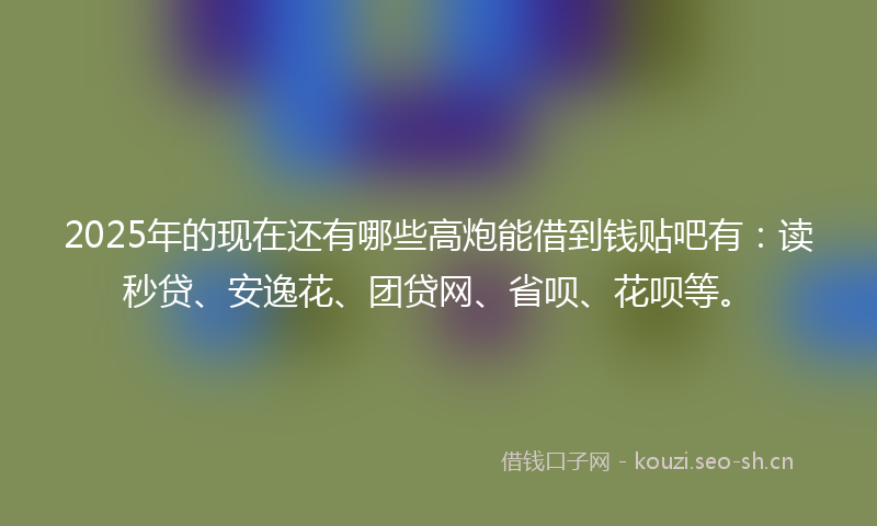 2025年的现在还有哪些高炮能借到钱贴吧有：读秒贷、安逸花、团贷网、省呗、花呗等。