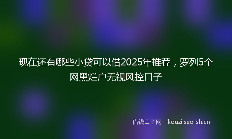 现在还有哪些小贷可以借2025年推荐，罗列5个网黑烂户无视风控口子