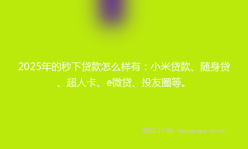 2025年的秒下贷款怎么样有：小米贷款、随身贷、超人卡、e微贷、投友圈等。