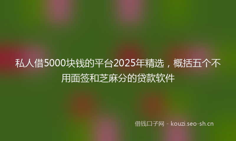 私人借5000块钱的平台2025年精选，概括五个不用面签和芝麻分的贷款软件