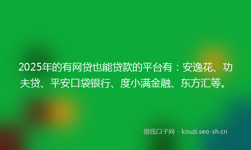 2025年的有网贷也能贷款的平台有：安逸花、功夫贷、平安口袋银行、度小满金融、东方汇等。