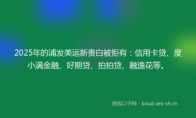 2025年的浦发美运新贵白被拒有:信用卡贷、度小满金融、好期贷、拍拍贷、融逸花等。