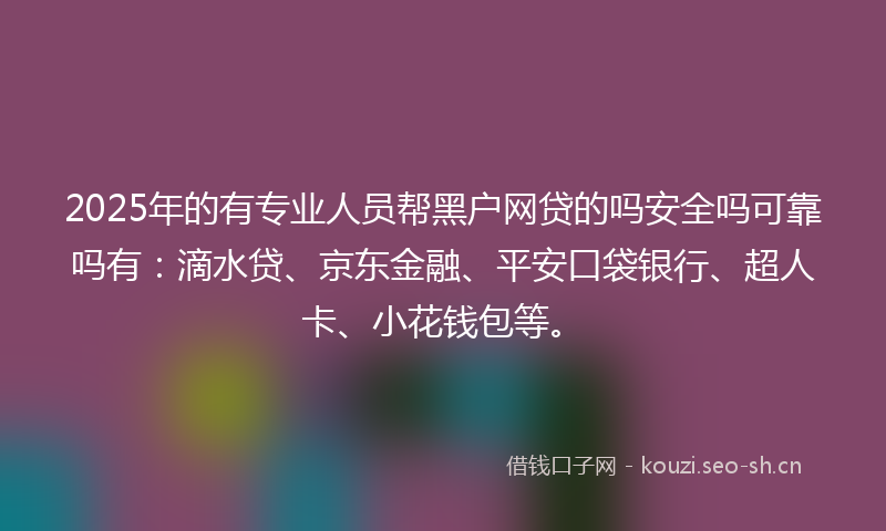 2025年的有专业人员帮黑户网贷的吗安全吗可靠吗有：滴水贷、京东金融、平安口袋银行、超人卡、小花钱包等。