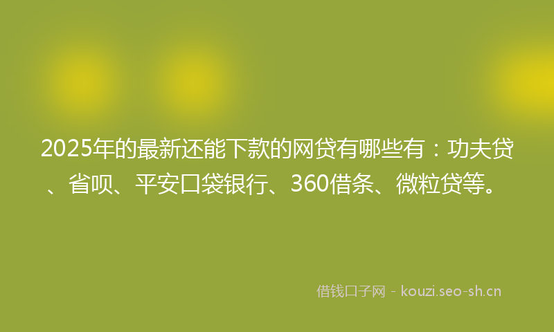 2025年的最新还能下款的网贷有哪些有：功夫贷、省呗、平安口袋银行、360借条、微粒贷等。