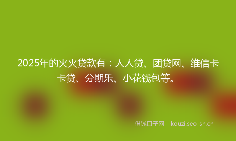 2025年的火火贷款有：人人贷、团贷网、维信卡卡贷、分期乐、小花钱包等。