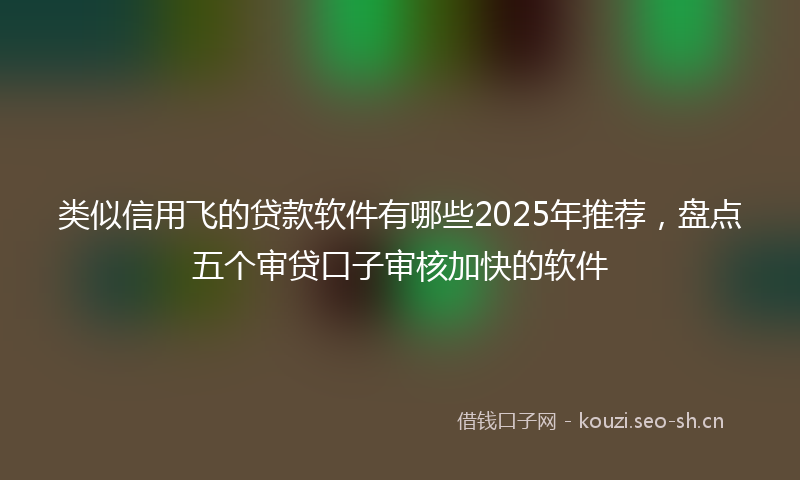 类似信用飞的贷款软件有哪些2025年推荐，盘点五个审贷口子审核加快的软件