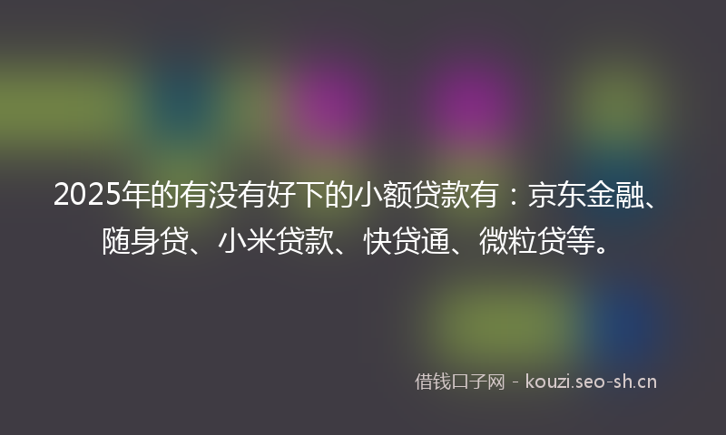 2025年的有没有好下的小额贷款有：京东金融、随身贷、小米贷款、快贷通、微粒贷等。
