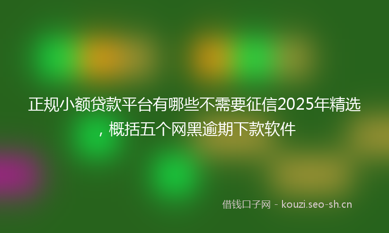 正规小额贷款平台有哪些不需要征信2025年精选,概括五个网黑逾期下款软件