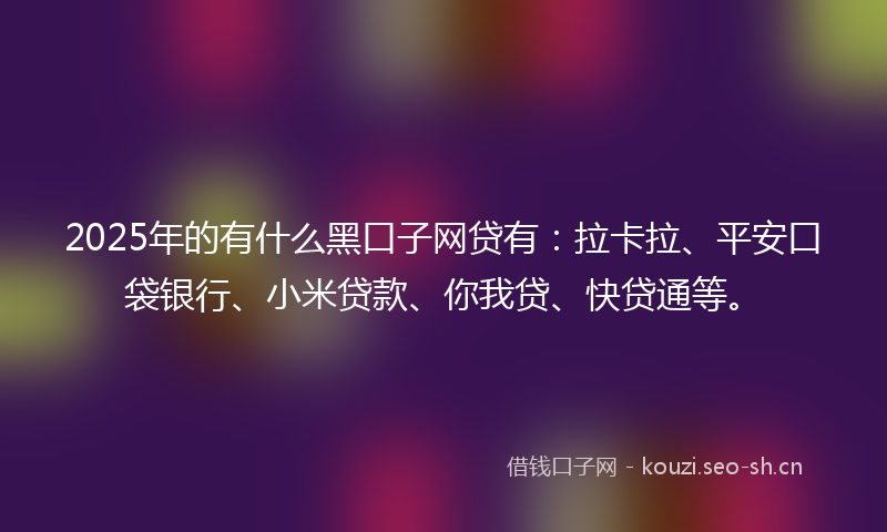 2025年的有什么黑口子网贷有：拉卡拉、平安口袋银行、小米贷款、你我贷、快贷通等。