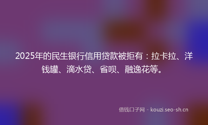 2025年的民生银行信用贷款被拒有：拉卡拉、洋钱罐、滴水贷、省呗、融逸花等。