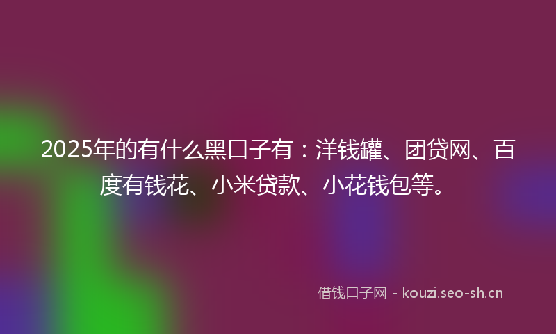 2025年的有什么黑口子有：洋钱罐、团贷网、百度有钱花、小米贷款、小花钱包等。