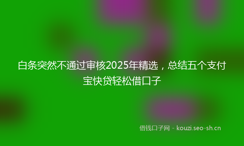 白条突然不通过审核2025年精选，总结五个支付宝快贷轻松借口子