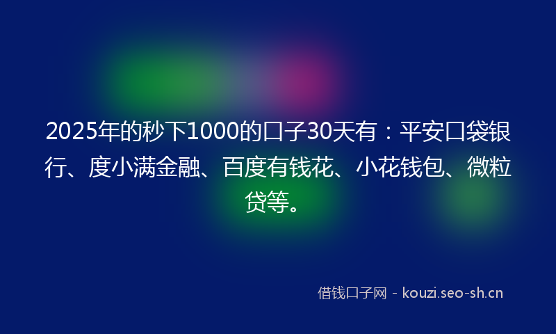 2025年的秒下1000的口子30天有：平安口袋银行、度小满金融、百度有钱花、小花钱包、微粒贷等。