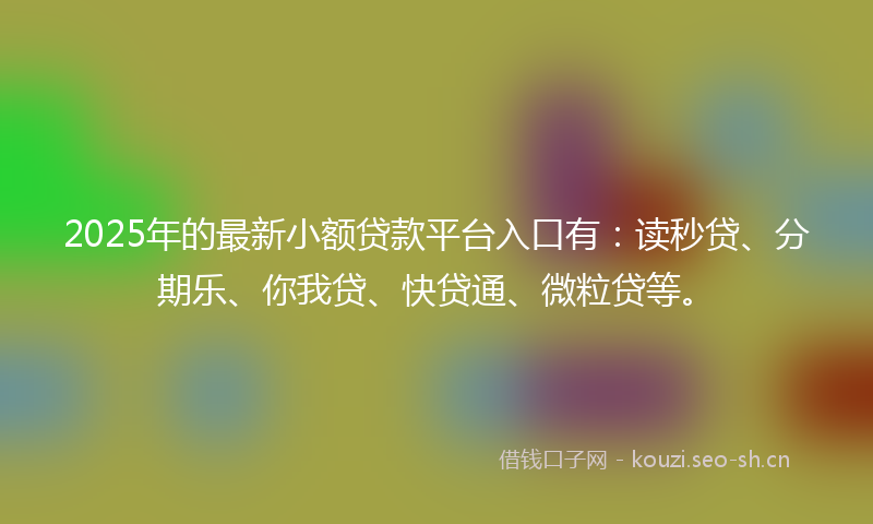 2025年的最新小额贷款平台入口有：读秒贷、分期乐、你我贷、快贷通、微粒贷等。