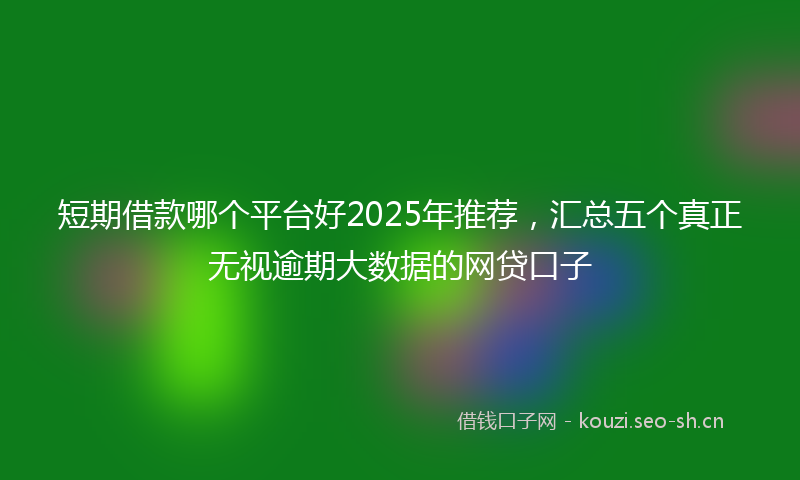 短期借款哪个平台好2025年推荐，汇总五个真正无视逾期大数据的网贷口子