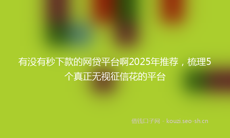 有没有秒下款的网贷平台啊2025年推荐，梳理5个真正无视征信花的平台