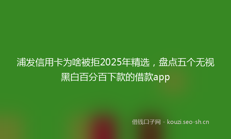 浦发信用卡为啥被拒2025年精选，盘点五个无视黑白百分百下款的借款app