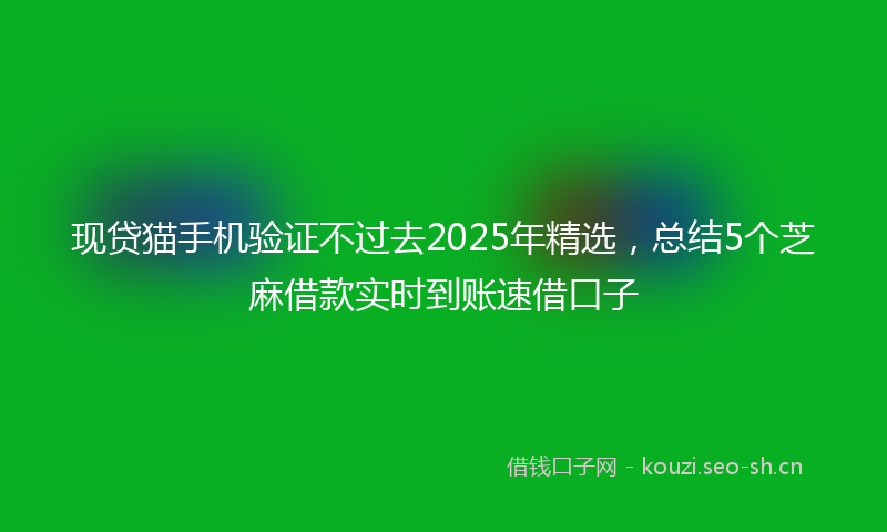 现贷猫手机验证不过去2025年精选，总结5个芝麻借款实时到账速借口子