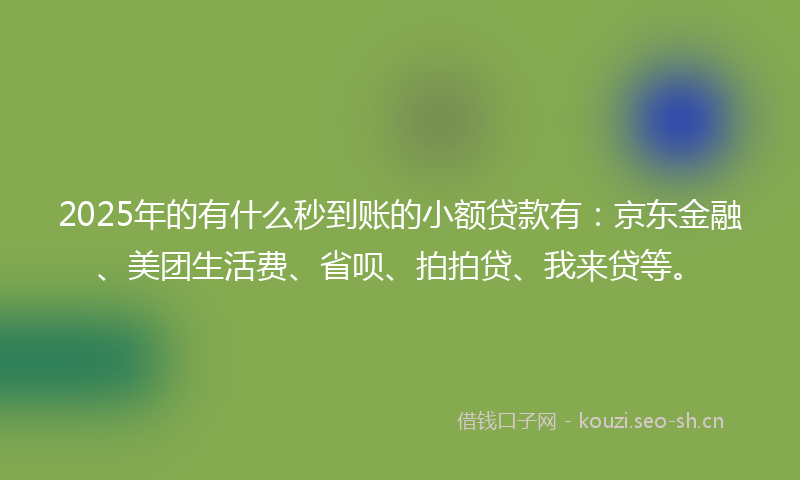 2025年的有什么秒到账的小额贷款有：京东金融、美团生活费、省呗、拍拍贷、我来贷等。