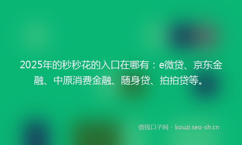 2025年的秒秒花的入口在哪有：e微贷、京东金融、中原消费金融、随身贷、拍拍贷等。
