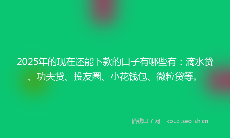 2025年的现在还能下款的口子有哪些有：滴水贷、功夫贷、投友圈、小花钱包、微粒贷等。