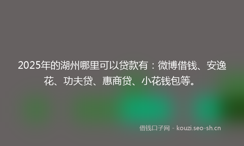 2025年的湖州哪里可以贷款有：微博借钱、安逸花、功夫贷、惠商贷、小花钱包等。