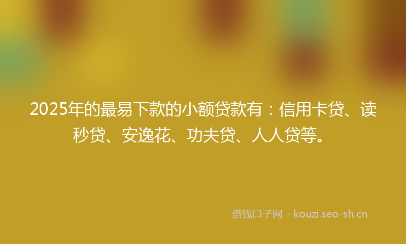 2025年的最易下款的小额贷款有：信用卡贷、读秒贷、安逸花、功夫贷、人人贷等。