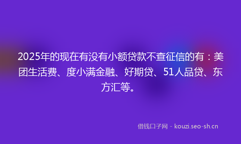 2025年的现在有没有小额贷款不查征信的有：美团生活费、度小满金融、好期贷、51人品贷、东方汇等。