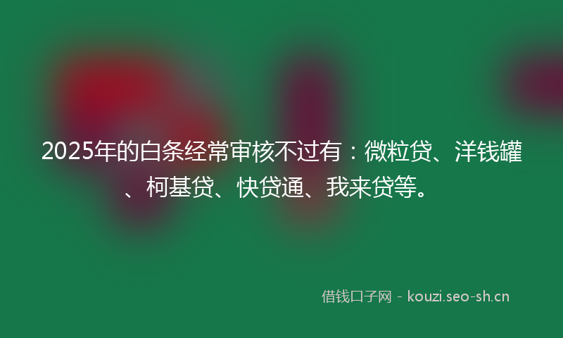 2025年的白条经常审核不过有：微粒贷、洋钱罐、柯基贷、快贷通、我来贷等。