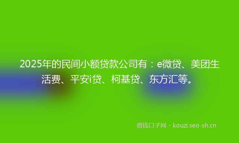 2025年的民间小额贷款公司有:e微贷、美团生活费、平安i贷、柯基贷、东方汇等。