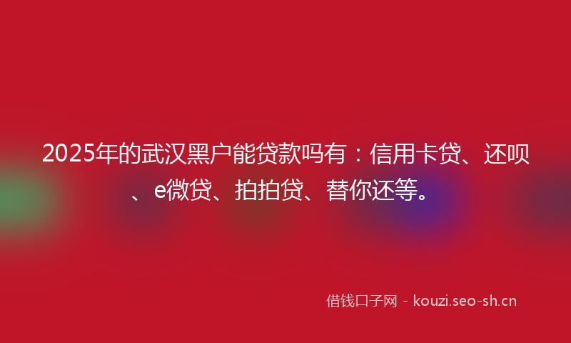 2025年的武汉黑户能贷款吗有:信用卡贷、还呗、e微贷、拍拍贷、替你还等。