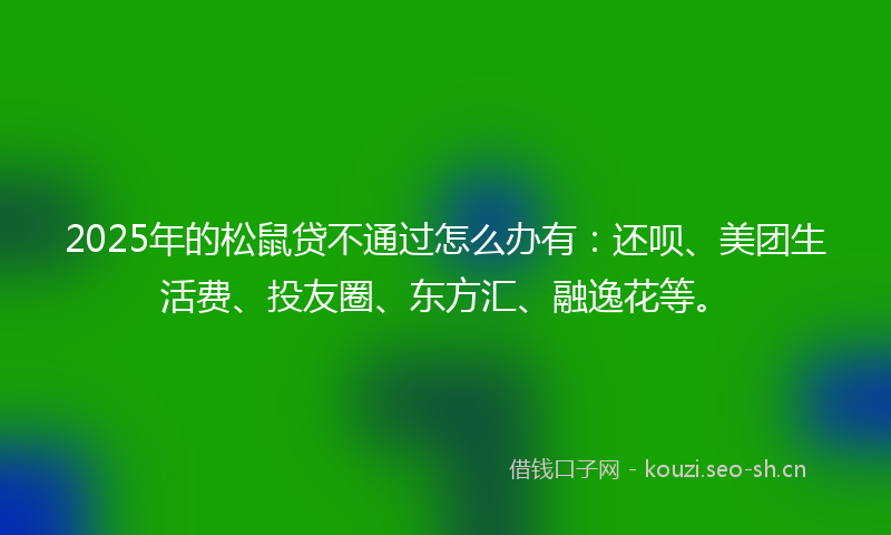 2025年的松鼠贷不通过怎么办有：还呗、美团生活费、投友圈、东方汇、融逸花等。