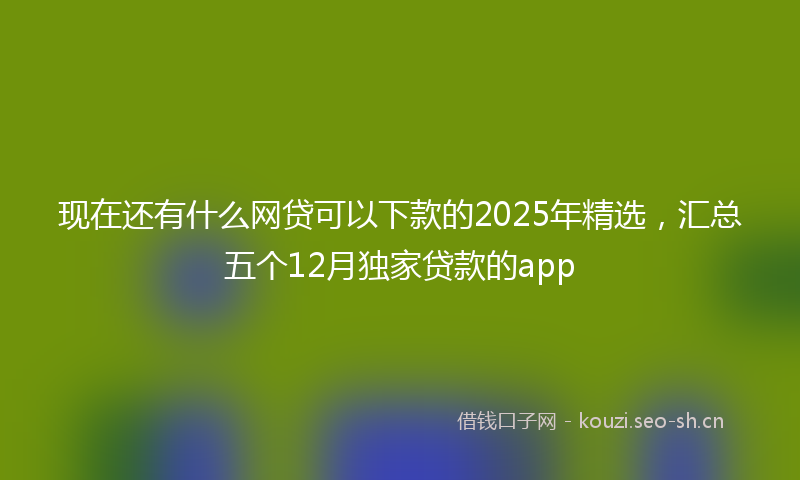 现在还有什么网贷可以下款的2025年精选，汇总五个12月独家贷款的app