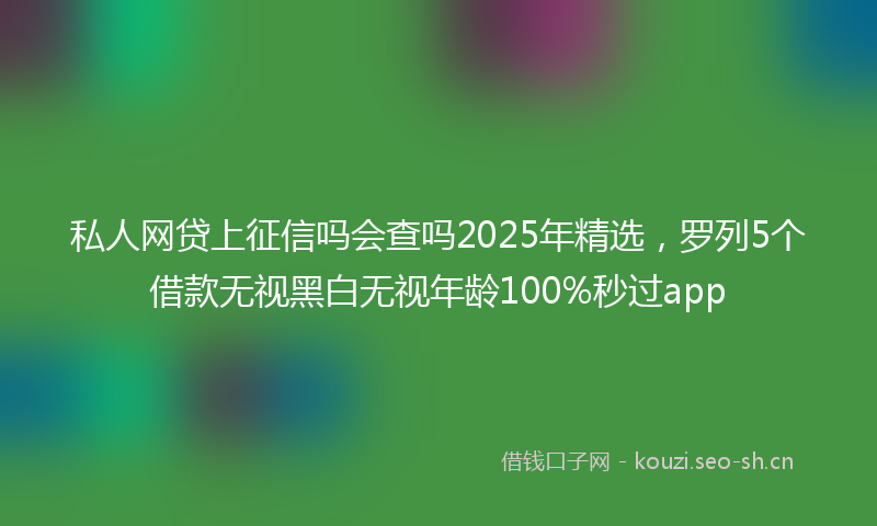 私人网贷上征信吗会查吗2025年精选，罗列5个借款无视黑白无视年龄100%秒过app