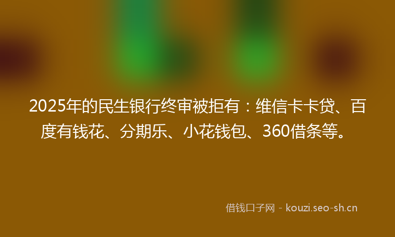 2025年的民生银行终审被拒有：维信卡卡贷、百度有钱花、分期乐、小花钱包、360借条等。