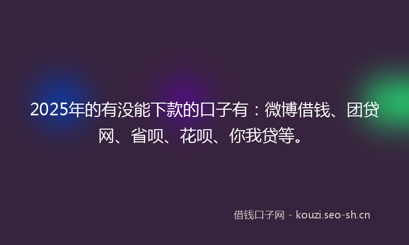2025年的有没能下款的口子有：微博借钱、团贷网、省呗、花呗、你我贷等。