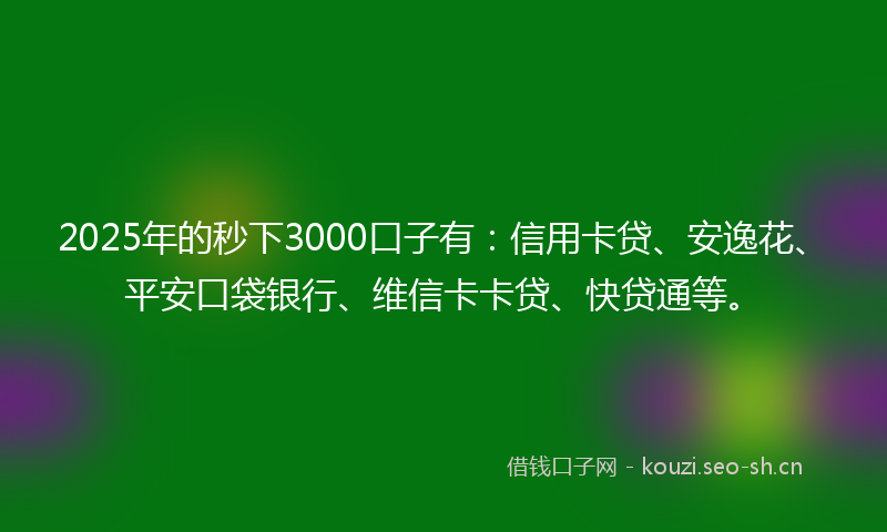 2025年的秒下3000口子有：信用卡贷、安逸花、平安口袋银行、维信卡卡贷、快贷通等。