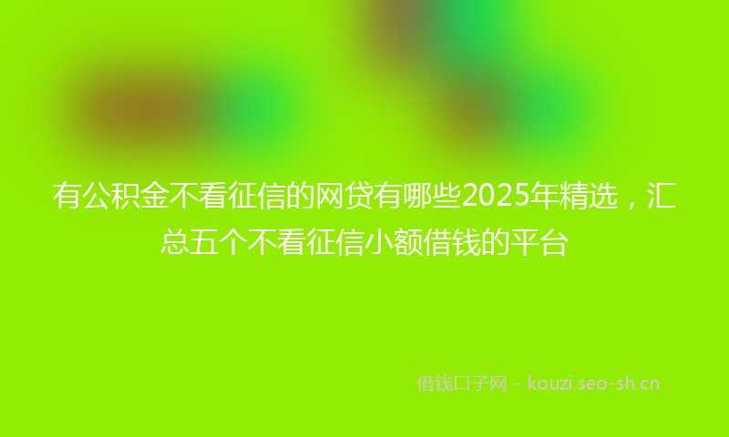 有公积金不看征信的网贷有哪些2025年精选，汇总五个不看征信小额借钱的平台