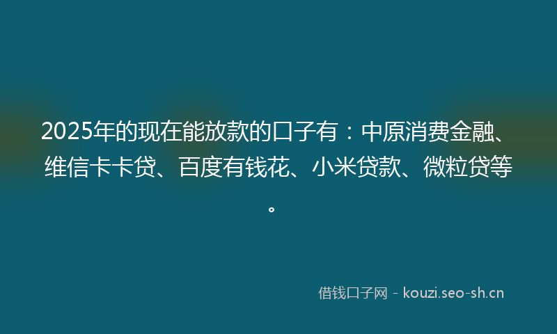 2025年的现在能放款的口子有：中原消费金融、维信卡卡贷、百度有钱花、小米贷款、微粒贷等。