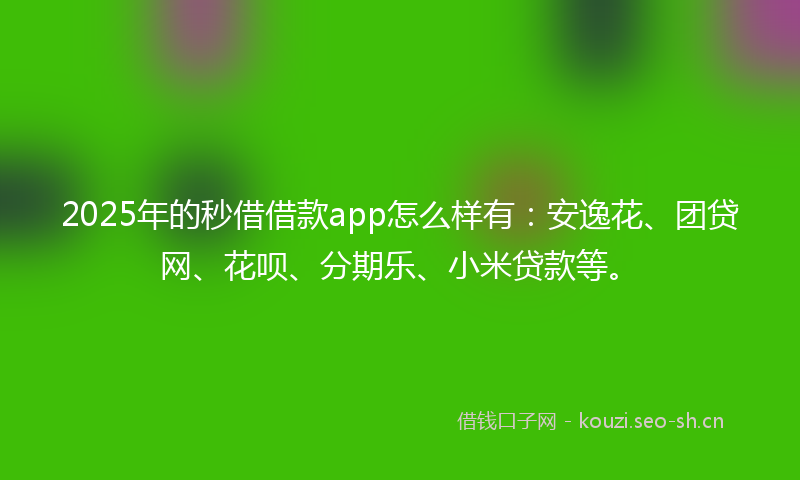 2025年的秒借借款app怎么样有：安逸花、团贷网、花呗、分期乐、小米贷款等。