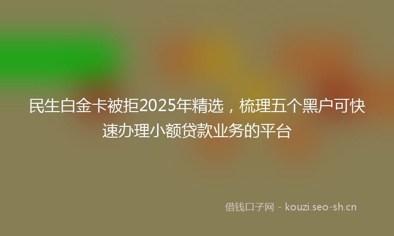 民生白金卡被拒2025年精选，梳理五个黑户可快速办理小额贷款业务的平台