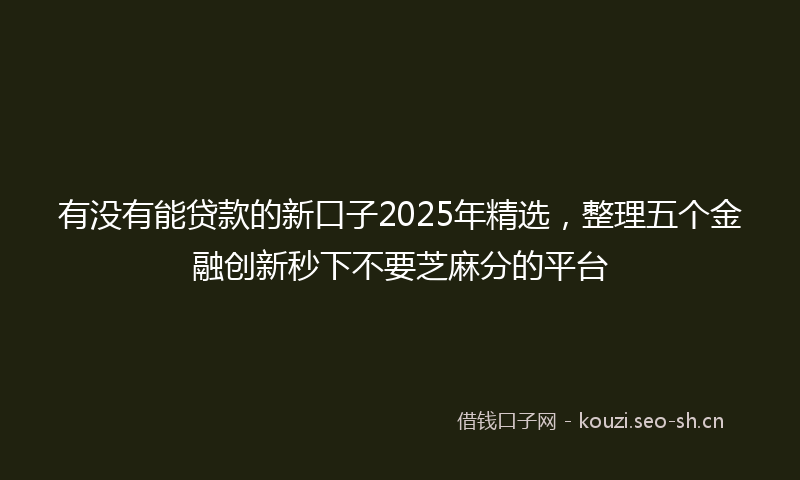 有没有能贷款的新口子2025年精选,整理五个金融创新秒下不要芝麻分的平台