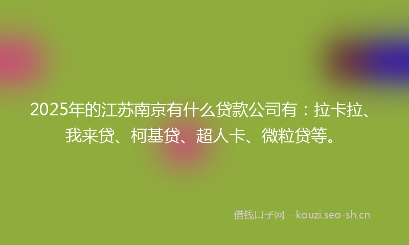 2025年的江苏南京有什么贷款公司有：拉卡拉、我来贷、柯基贷、超人卡、微粒贷等。