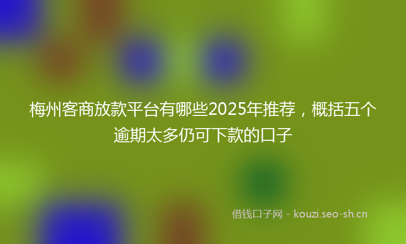梅州客商放款平台有哪些2025年推荐，概括五个逾期太多仍可下款的口子